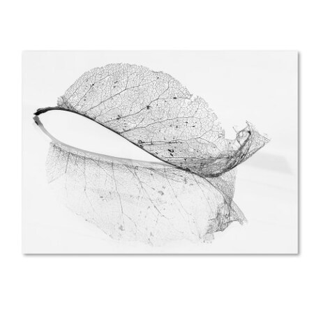 Katarina Holmström 'The Old Leaf' Canvas Art,24x32